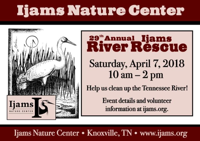 29th Annual River Rescue Post card